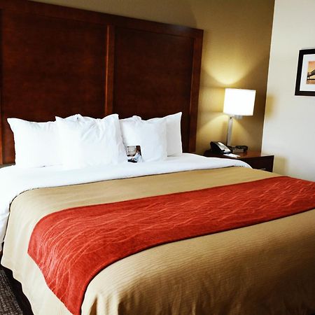 Comfort Inn & Suites Covington - Mandeville Dış mekan fotoğraf